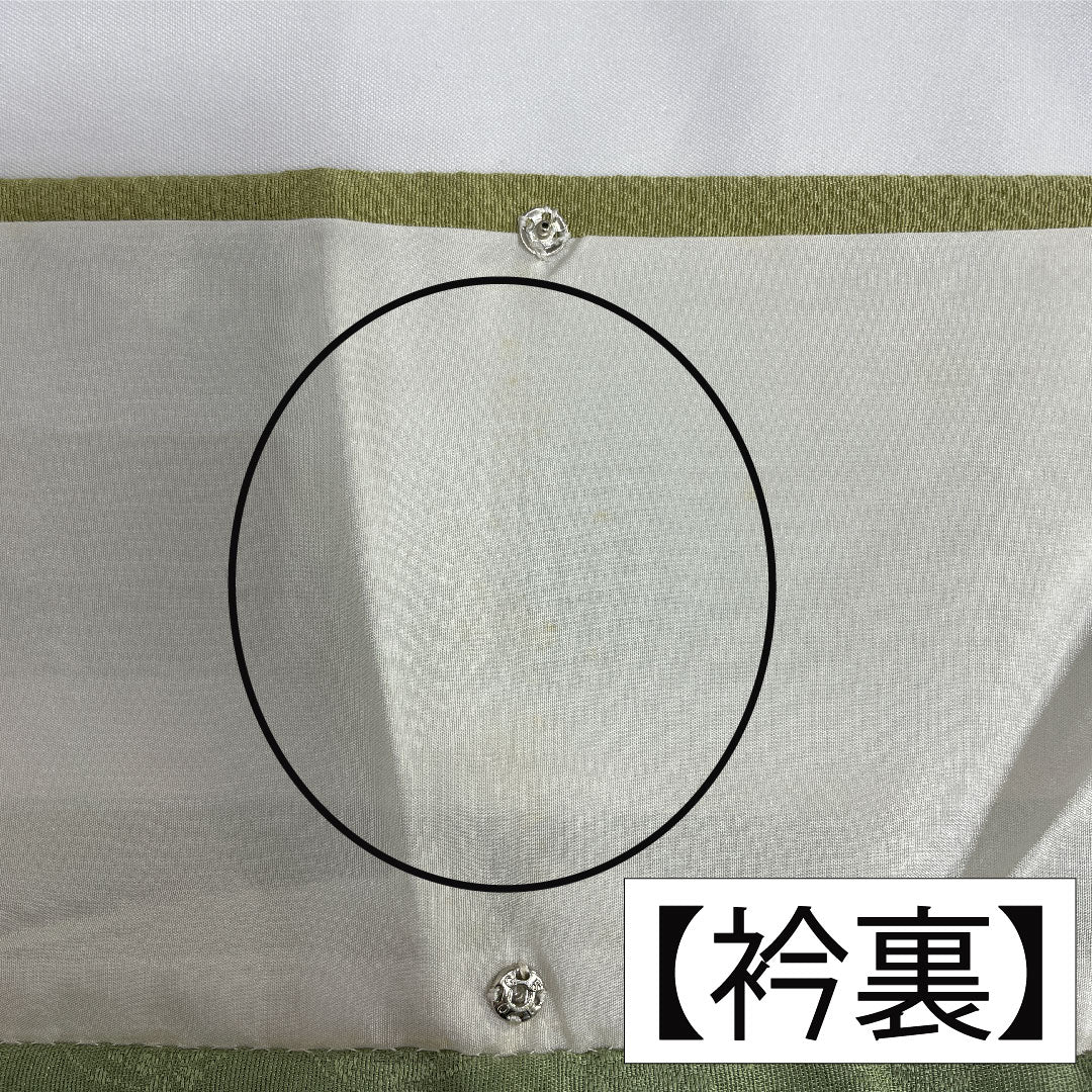 訪問着 正絹 袷 身丈162cm 裄丈62.5cm 薄柳色(うすやなぎいろ) 辻ヶ花 ちりめん地 重ね衿付き しつけ糸付き Sランク 緑系 1112005202419