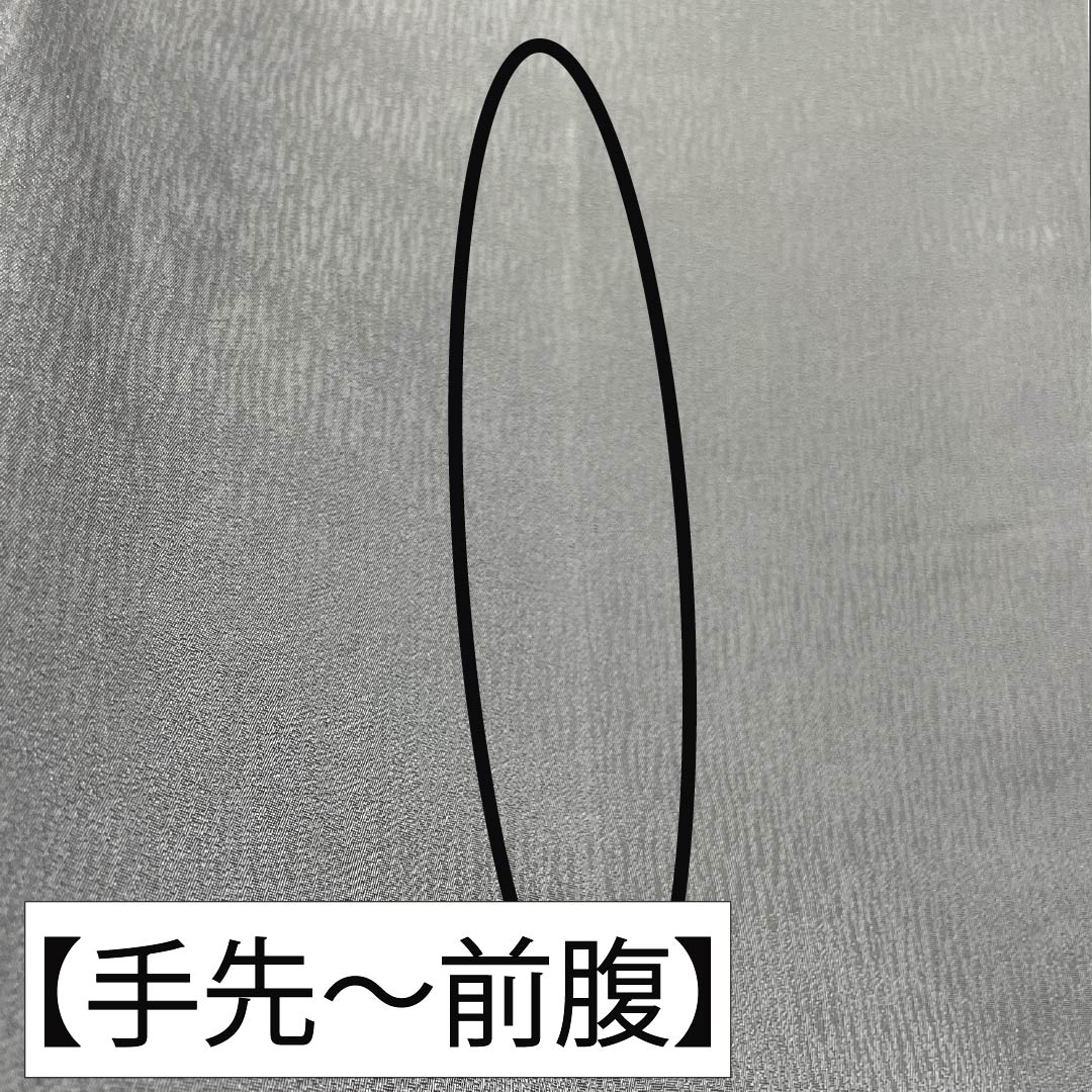 袋帯 正絹 紺鼠色(こんねずいろ) 西陣織 洛陽織物 葡萄 リバーシブル 帯丈472cm Sランク 六通 フォーマル グレー系 1123014412422