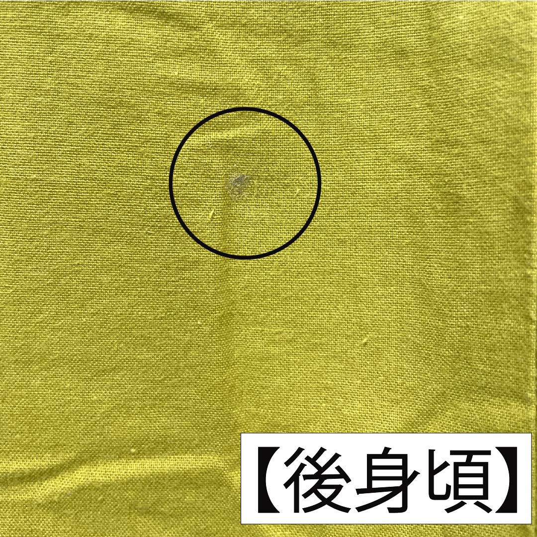 浴衣 木綿 身丈153cm 裄丈62.5cm Aランク 単衣 黄系 浅黄色(あさききいろ) ペンギン 1118005783223