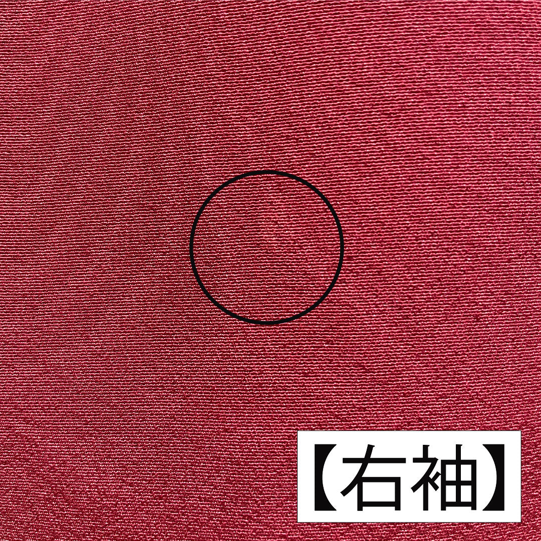 訪問着 正絹 袷 身丈163.5cm 裄丈64.5cm 臙脂色(えんじいろ) 辻ヶ花 Aランク 赤系 1112005823412