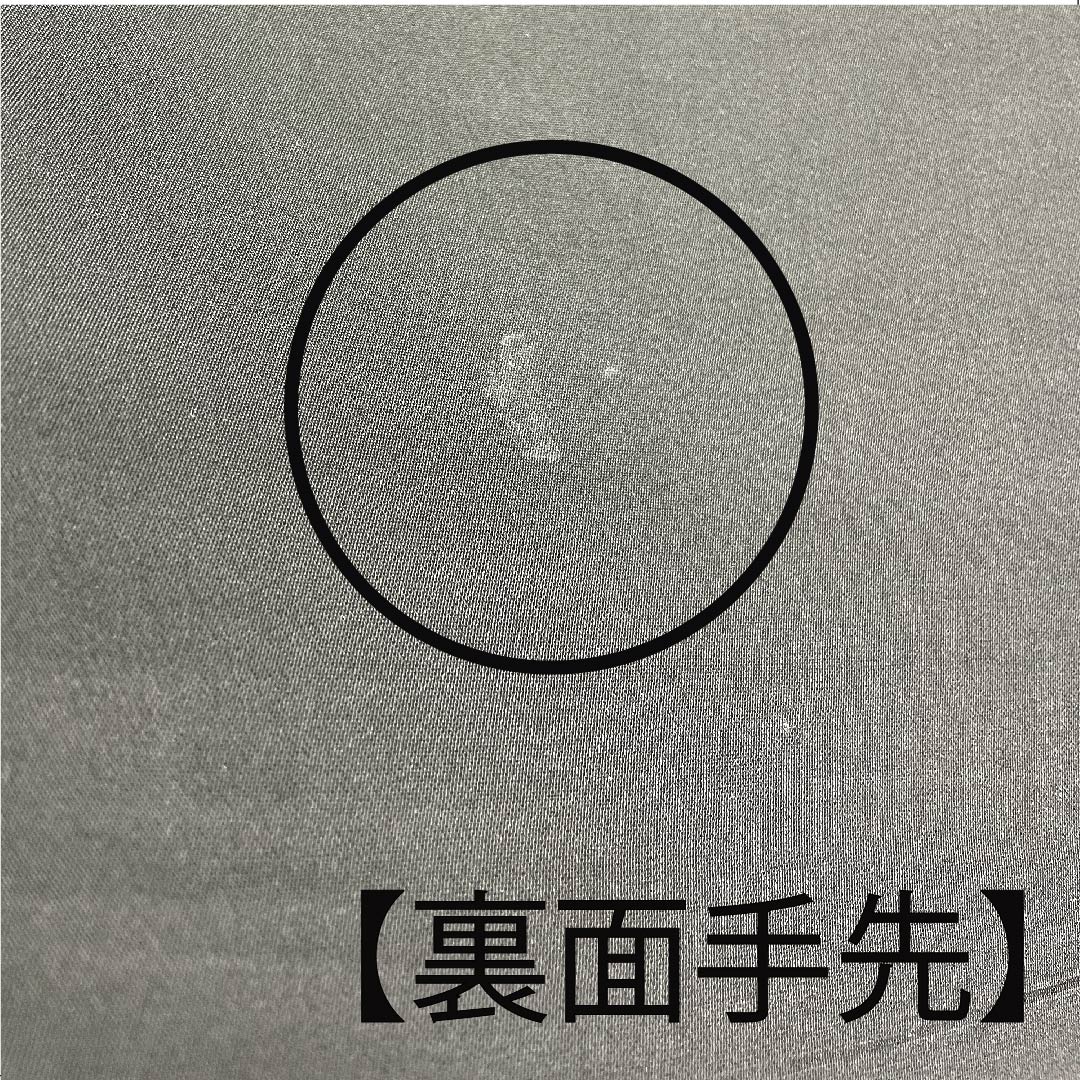 袋帯 梅 輪奈織 帯丈467cm 正絹 Aランク 六通 セミフォーマル グラデーション系 1123006943499