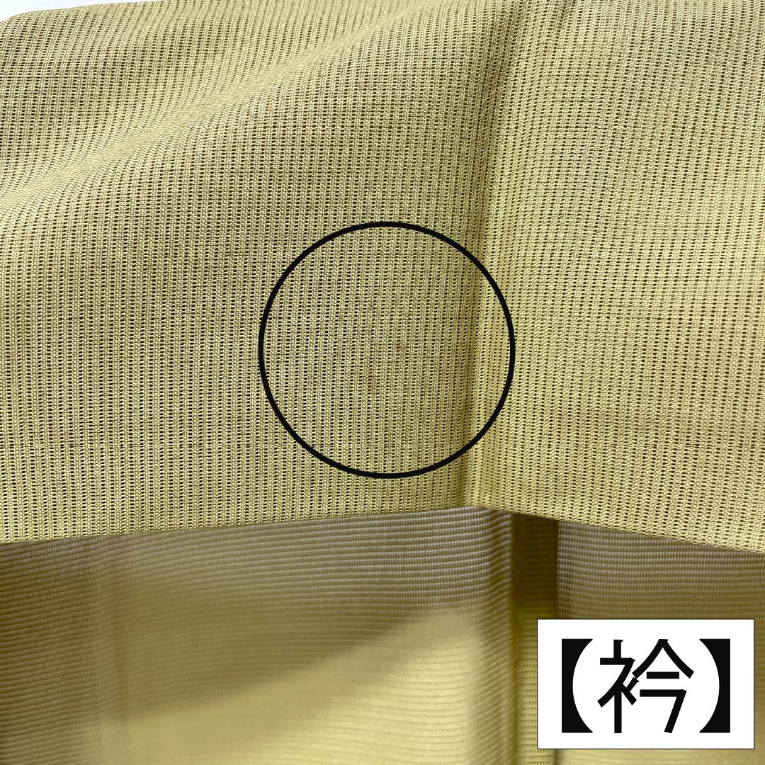 夏物 ポリエステル 色無地 Aランク 身丈162.5cm 裄丈67cm 白橡色(しろつるばみいろ) 洗える着物 素無地 絽 黄系 1132004143423