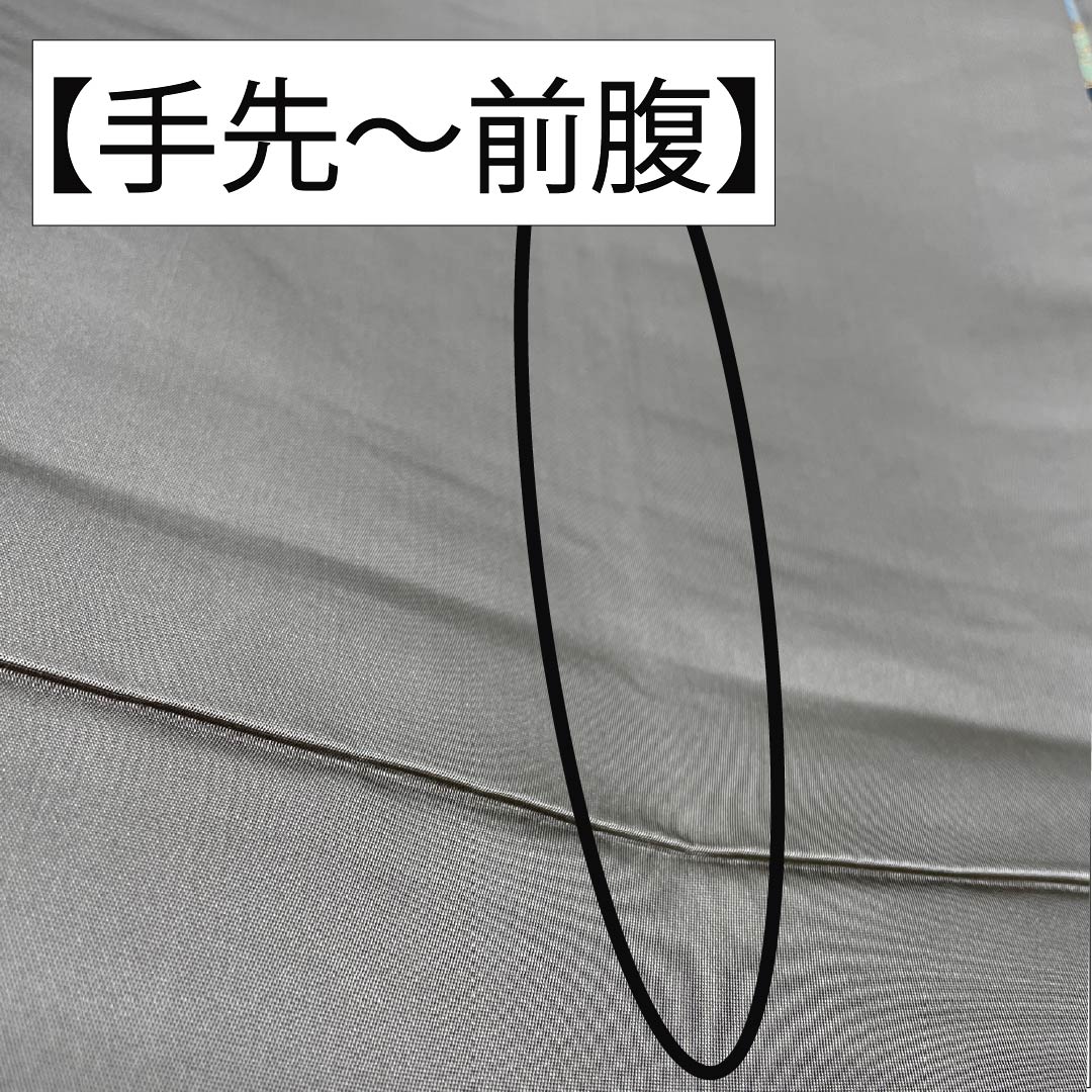 袋帯 正絹 消炭鼠色(けしずみねずみいろ) 留袖用 白綾苑大庭 華文 振袖用 帯丈442cm Sランク 六通 フォーマル グレー系 1123014162322