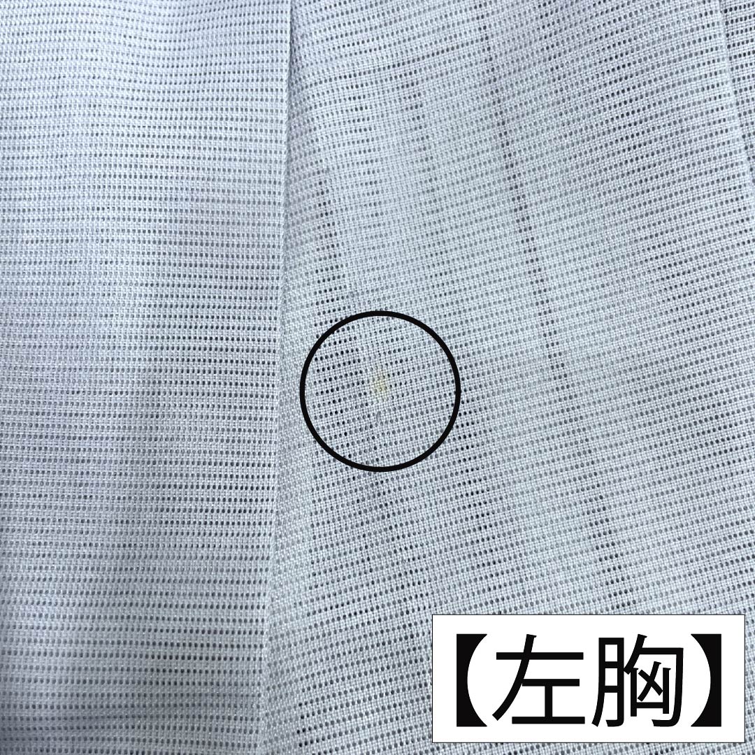 夏物 ポリエステル 付下げ Aランク 身丈160.5cm 裄丈63cm 蒼白色(そうはくしょく) 洗える着物 薔薇 流水 絽 水色系 1132006343424