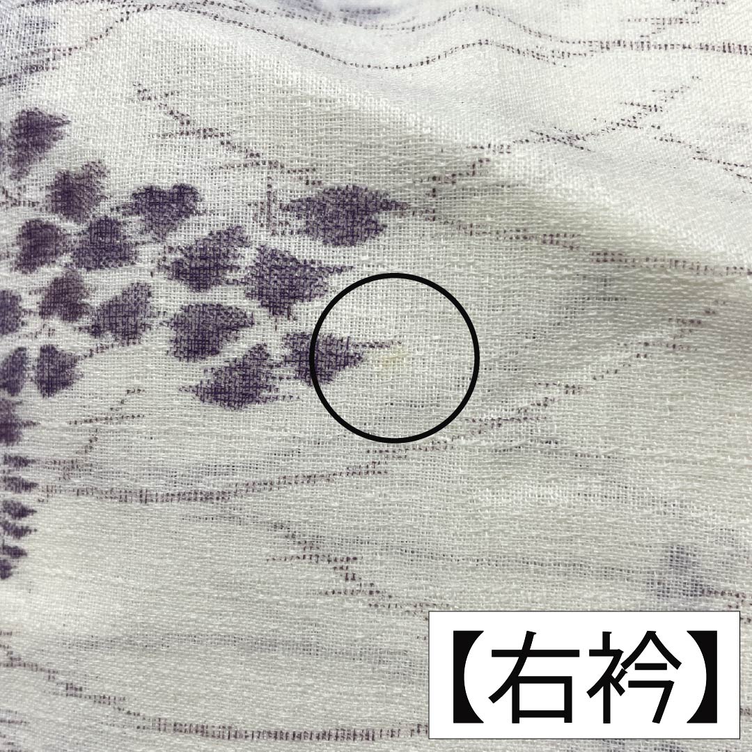 Summer linen tsumugi (pongee) kimono, length 165cm, sleeve length 69cm, milky white (nyuhakushoku) Ojiya-chijimi (Ojiya-style silk) with floral and gauze patterns, rank A, white, product number 1132002683511