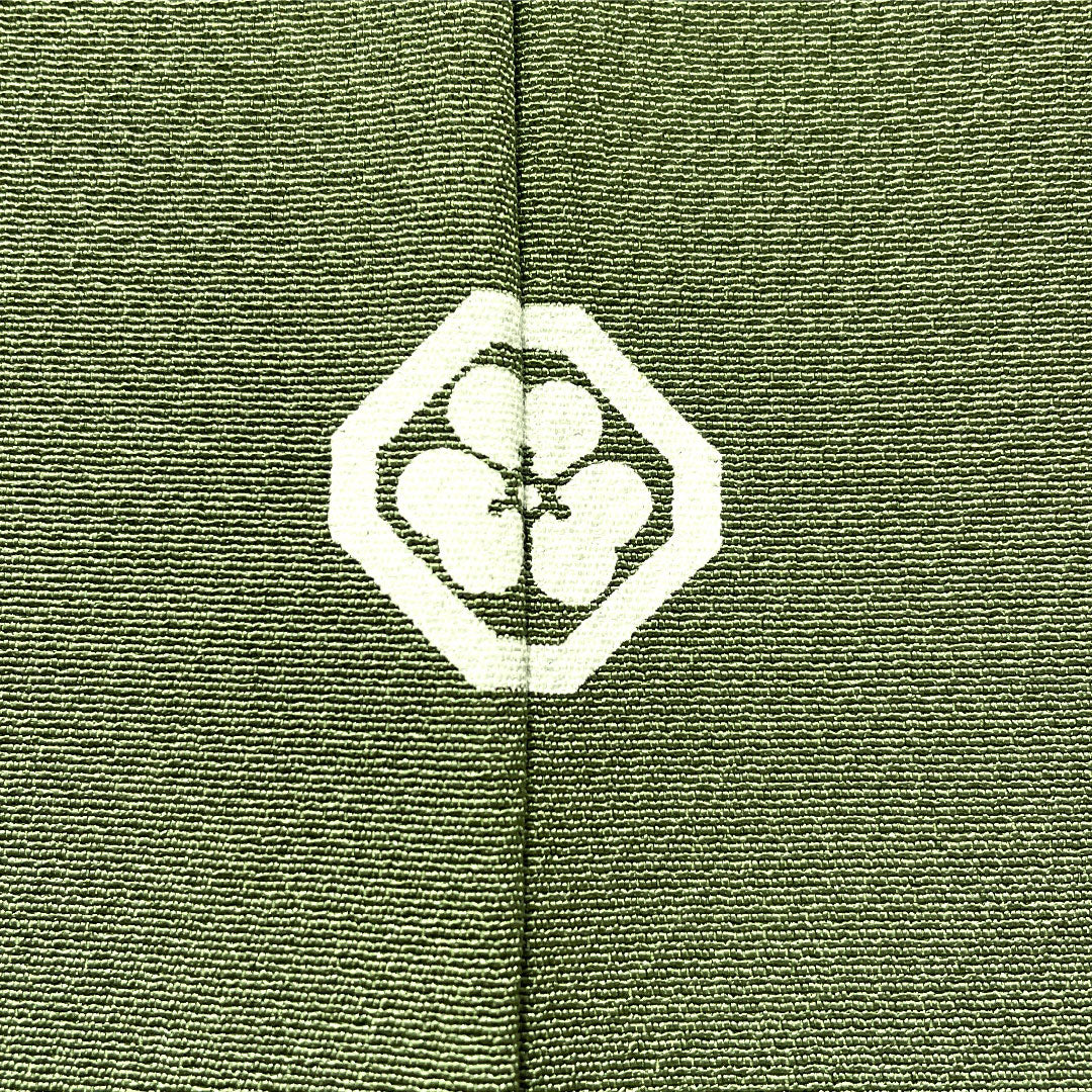 色無地 正絹 身丈150cm 裄丈63cm 仏手柑色(ぶしゅかんいろ) 素無地 一つ紋 隅切り角に片喰 袷 Sランク 緑系 1114001802119