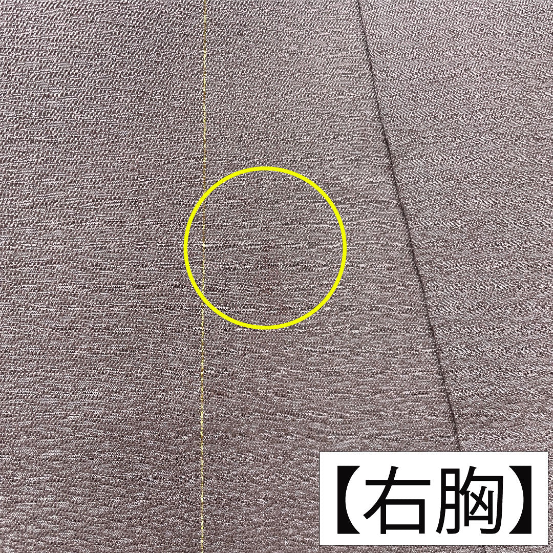 小紋 正絹 身丈161.5cm 裄丈63.5cm 袷 半色(はしたいろ) Bランク 紫系 1115004754420