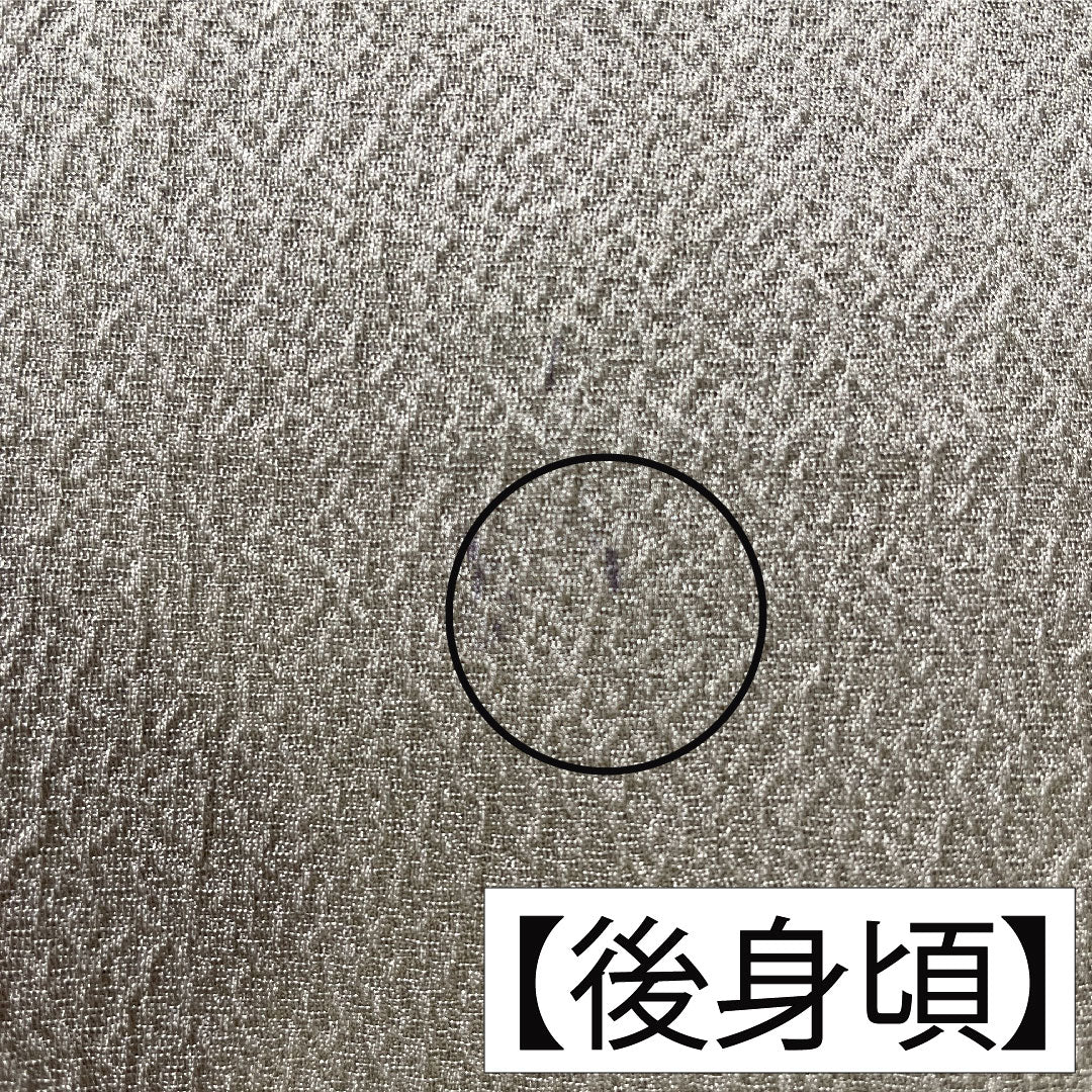 小紋 正絹 身丈170.5cm 裄丈66.5cm 袷 砂色(すないろ) 花びら散らし Aランク グレー系 1115004703622