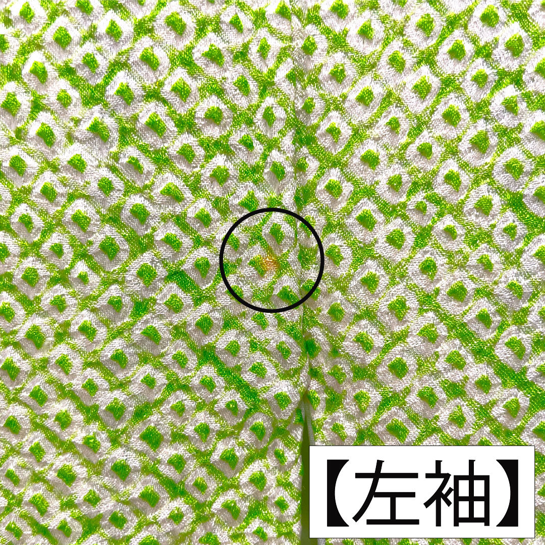 訪問着 正絹 袷 身丈165.5cm 裄丈63.5cm 黄緑色(きみどりいろ) 総絞り しつけ糸付き Aランク 緑系 1112005093519