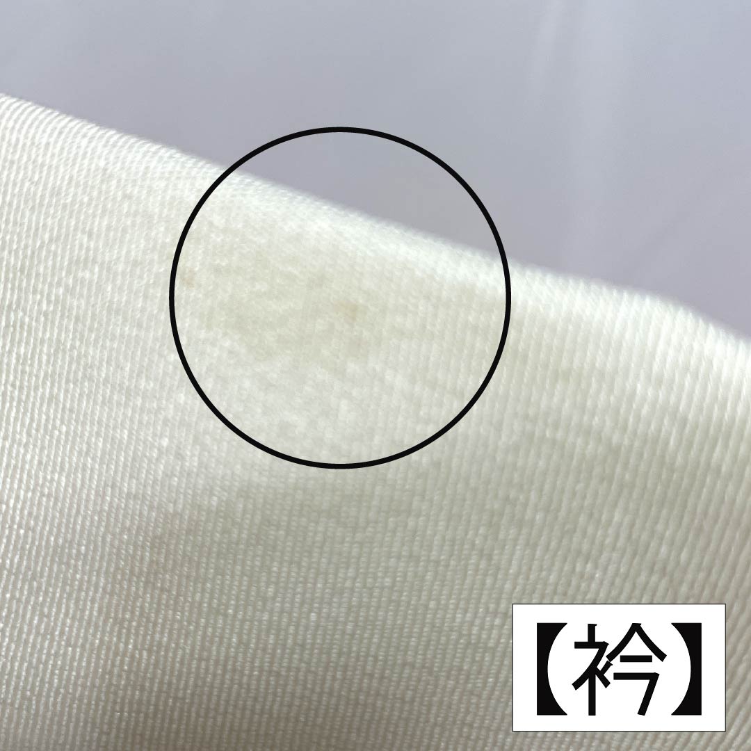 長襦袢 正絹 Sランク 身丈133cm 裄丈66cm 単衣 ボカシ染 桜 半衿付き グラデーション系 1129000732499