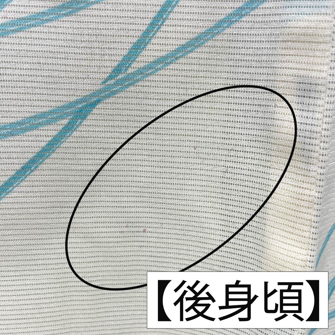夏物 ポリエステル 小紋 Aランク 身丈156cm 裄丈64.5cm 乳白色(にゅうはくしょく) 洗える着物 蝶 枝葉 絽 白系 1132007133311