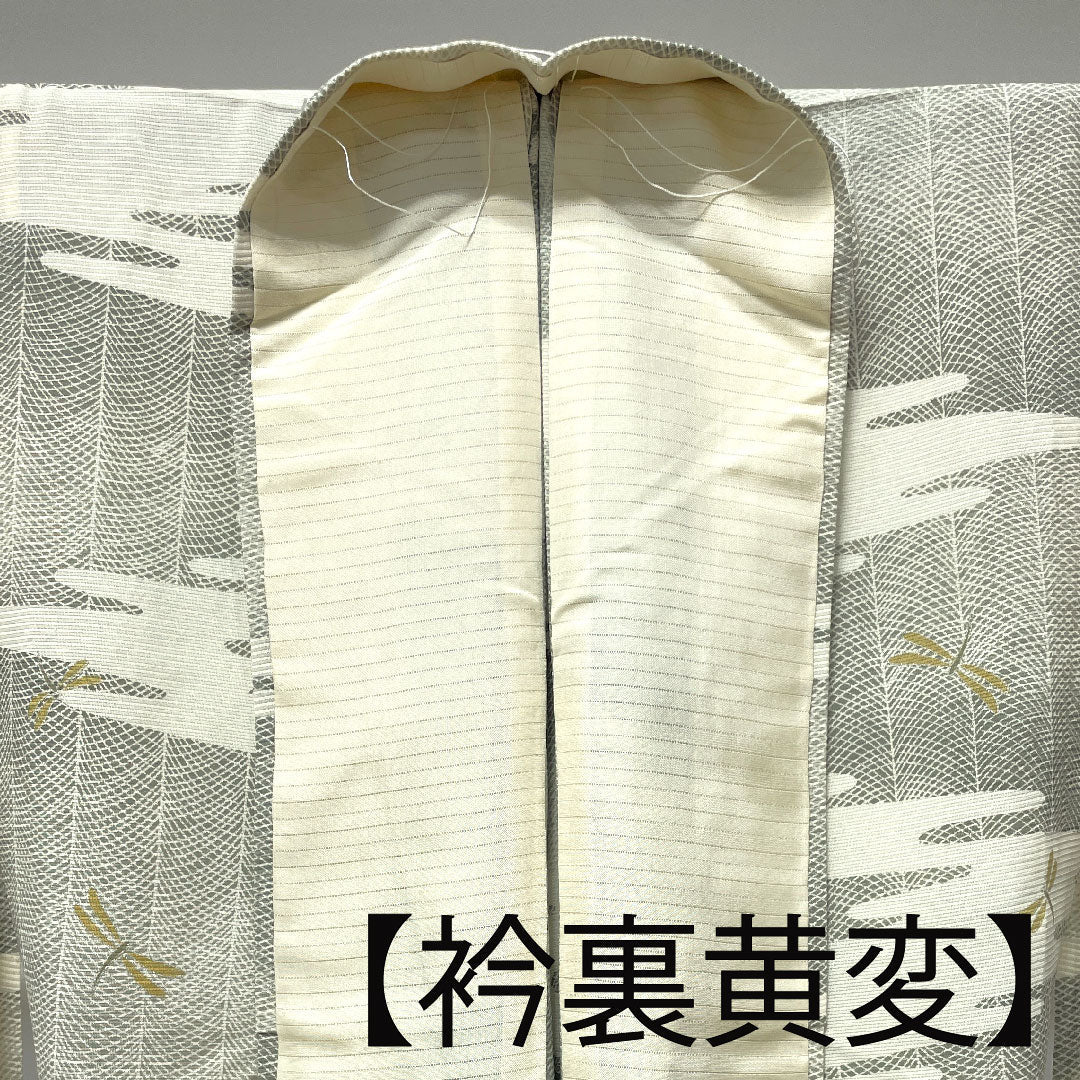 夏物 正絹 小紋 身丈155cm 裄丈62cm 乳白色(にゅうはくしょく) トンボ 道長取り 絽 Sランク クリーム系 1132000602315