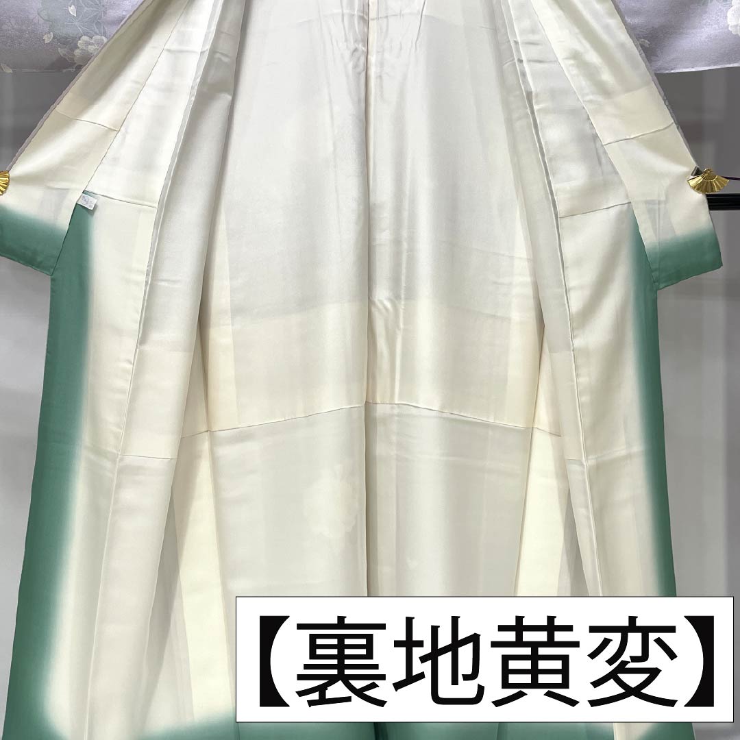 Komon (small pattern) kimono, pure silk, length 156cm, sleeve length 66cm, lined, hazy color (kasumi-iro), stencil-dyed, cherry blossom and camellia motifs, Kirara Guard, S rank, purple, 1115006192320