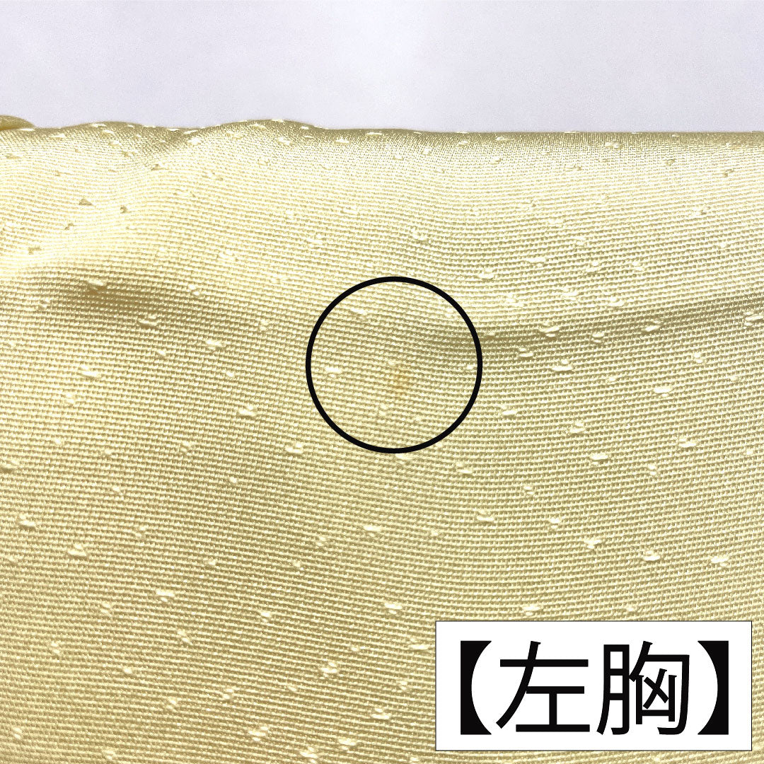 訪問着 正絹 袷 身丈156.5cm 裄丈63cm 淡黄色(たんこうしょく) 京友禅 草花模様 Aランク 黄系 1112005393323