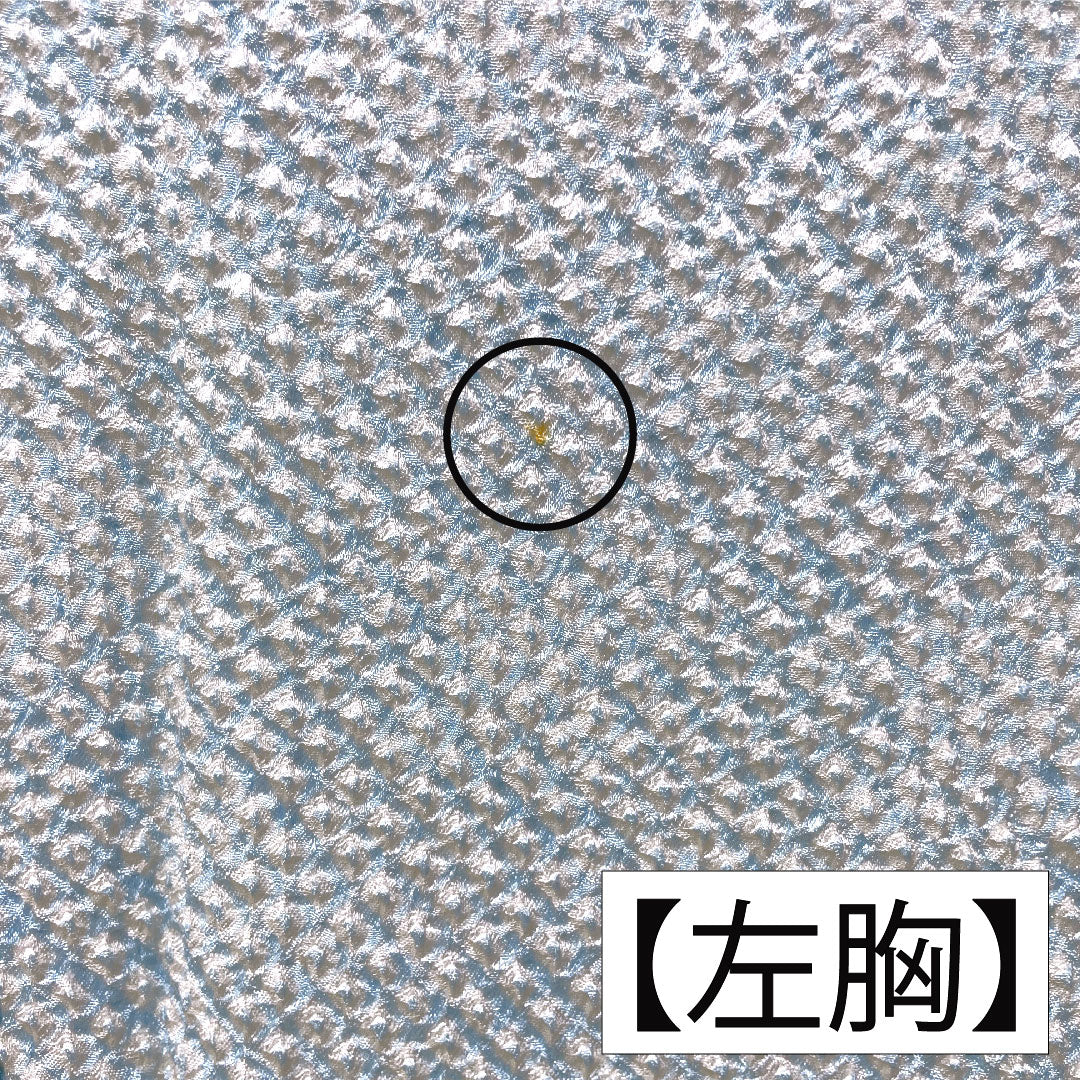 訪問着 正絹 袷 身丈159.5cm 裄丈64cm 藍白色(あいじろいろ) 総絞り 重ね衿付き Bランク 水色系 1112004824324