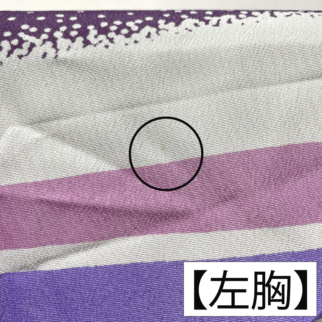 Homongi (formal kimono) made of polyester, single layer, length 161.5cm, sleeve length 66.5cm, aoi-iro (blue color), washable kimono, A rank, purple, 1112005383420
