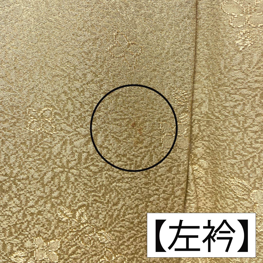 色無地 正絹 Bランク 身丈164.5cm 裄丈65.5cm 支子色(くちなしいろ) 紋意匠 草花模様 一つ紋 袷 黄系 1114003104423