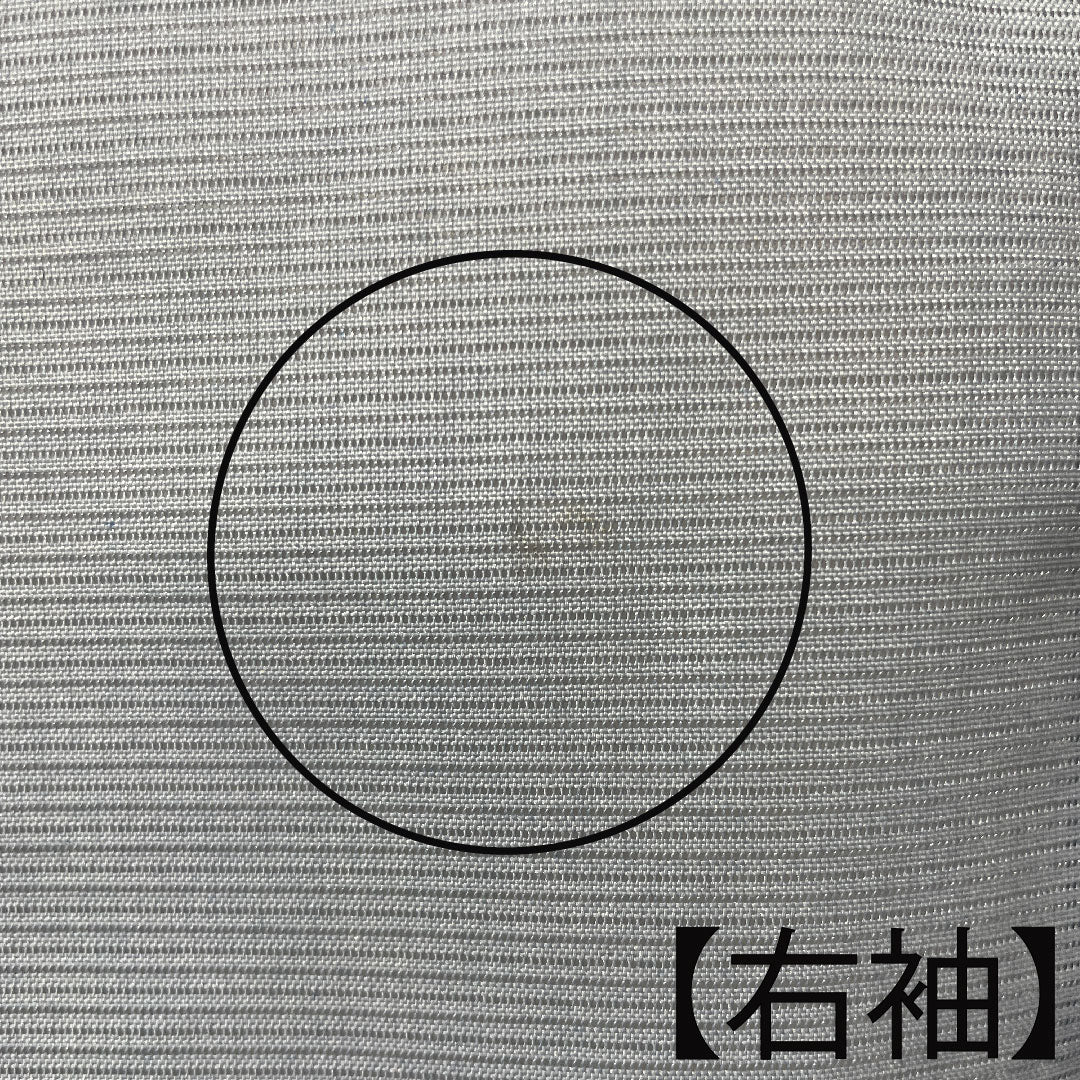 夏物 ポリエステル 小紋 身丈161cm 裄丈65cm 蒼白色(そうはくしょく) うさぎ 草花模様 洗える着物 絽 Aランク 水色系 1132000863424