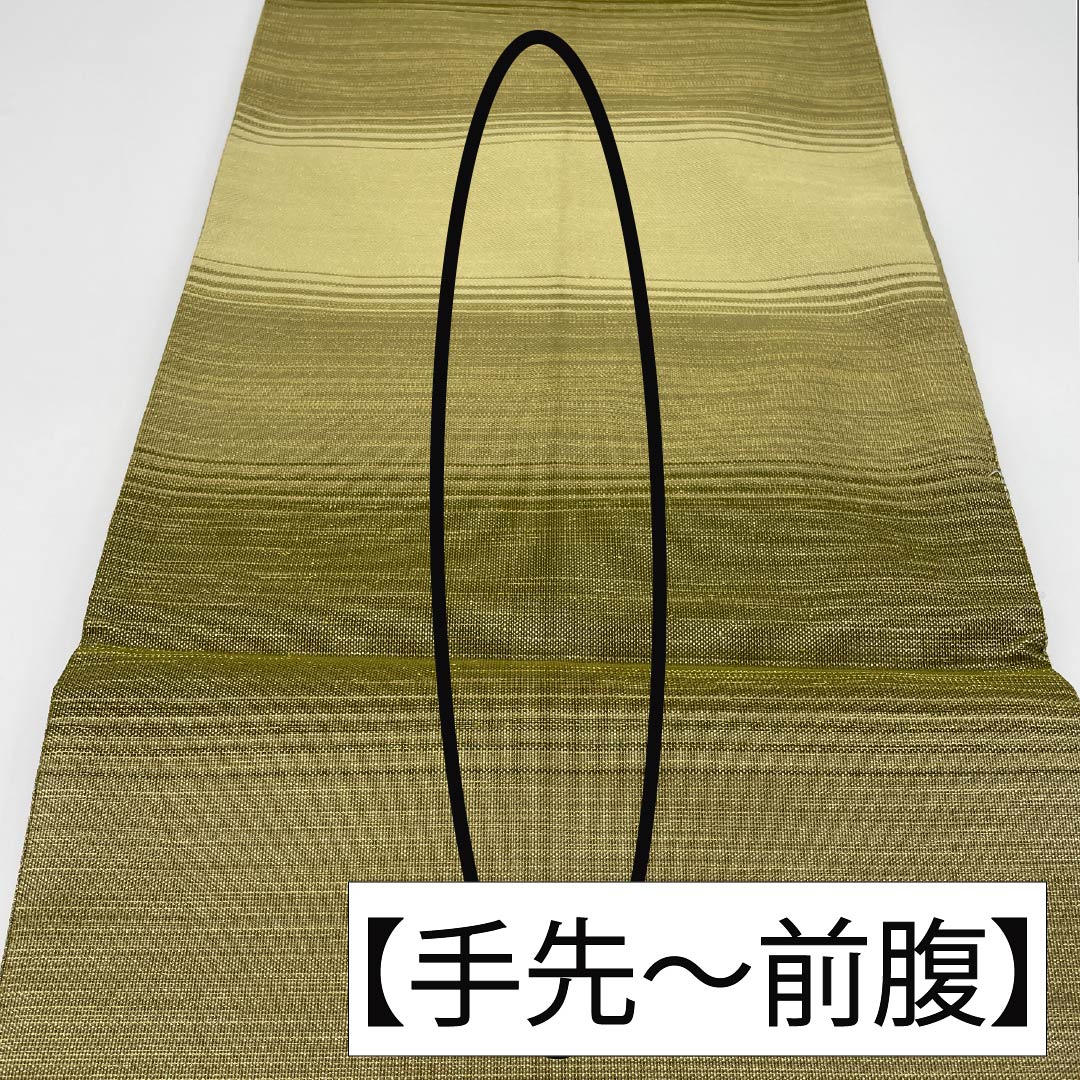 袋帯 正絹 裏柳色(うらやなぎいろ) 綴れ織 丸紋 帯丈442cm Sランク ポイント柄 セミフォーマル 緑系 1123014912319