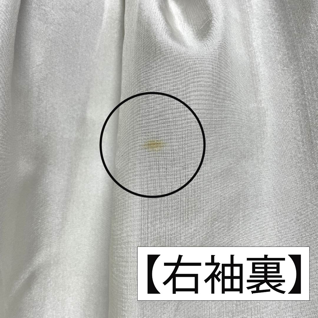 小紋 正絹 Sランク 身丈159cm 裄丈66cm 袷 栗鼠色(くりねずいろ) ちりめん地 小花 茶系 1115007412314