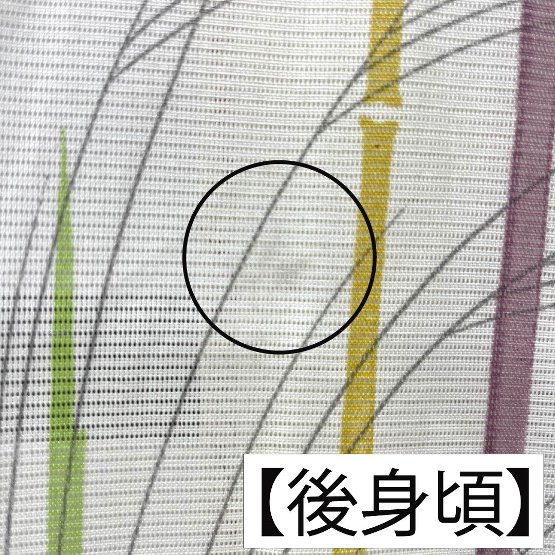 夏物 ポリエステル 小紋 Aランク 身丈158cm 裄丈64cm 乳白色(にゅうはくしょく) 洗える着物 竹 ススキ 絽 クリーム系 1132006083315
