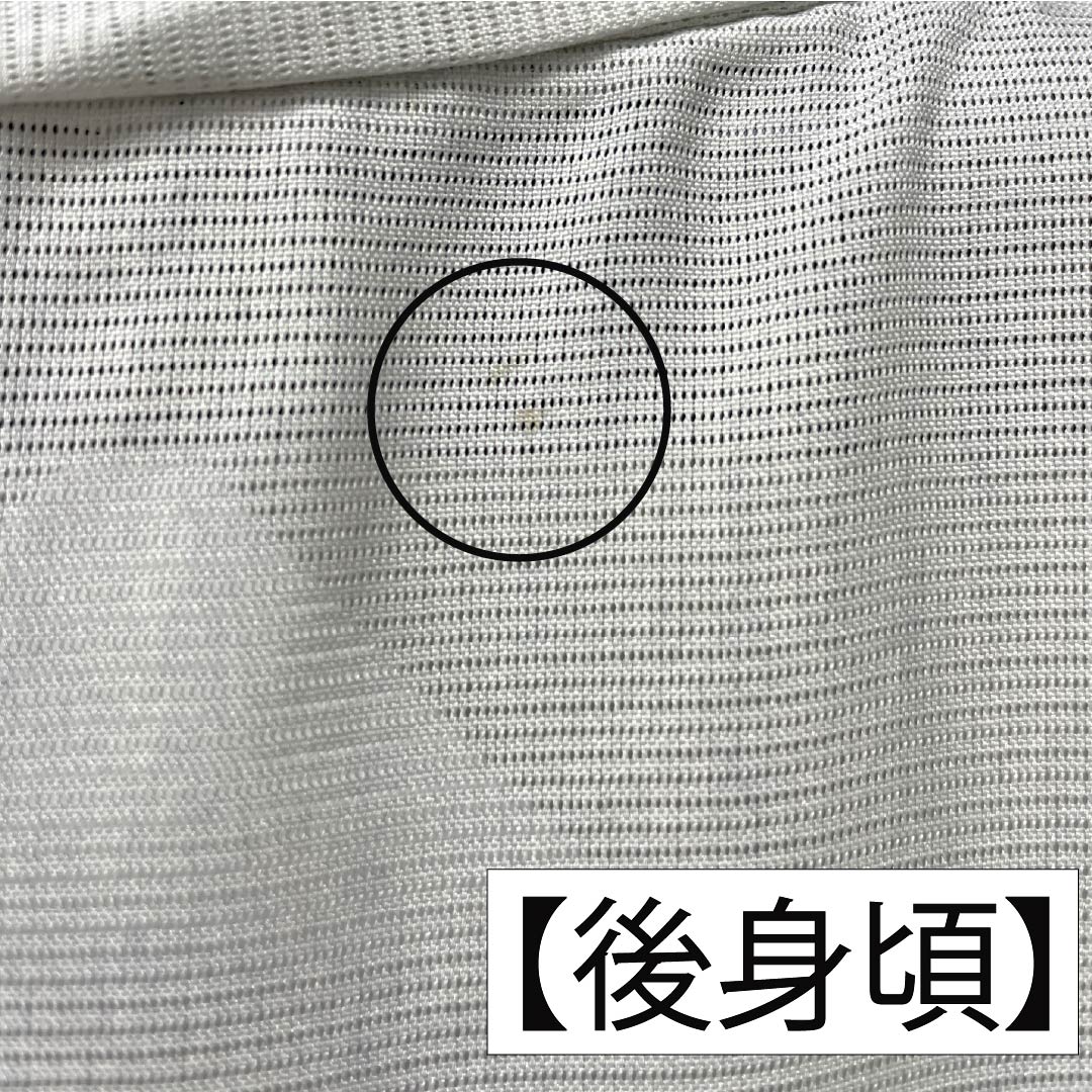 夏物 ポリエステル 訪問着 身丈165cm 裄丈65.5cm 墨流し染 洗える着物 絽 Aランク 水色系 1132002233524