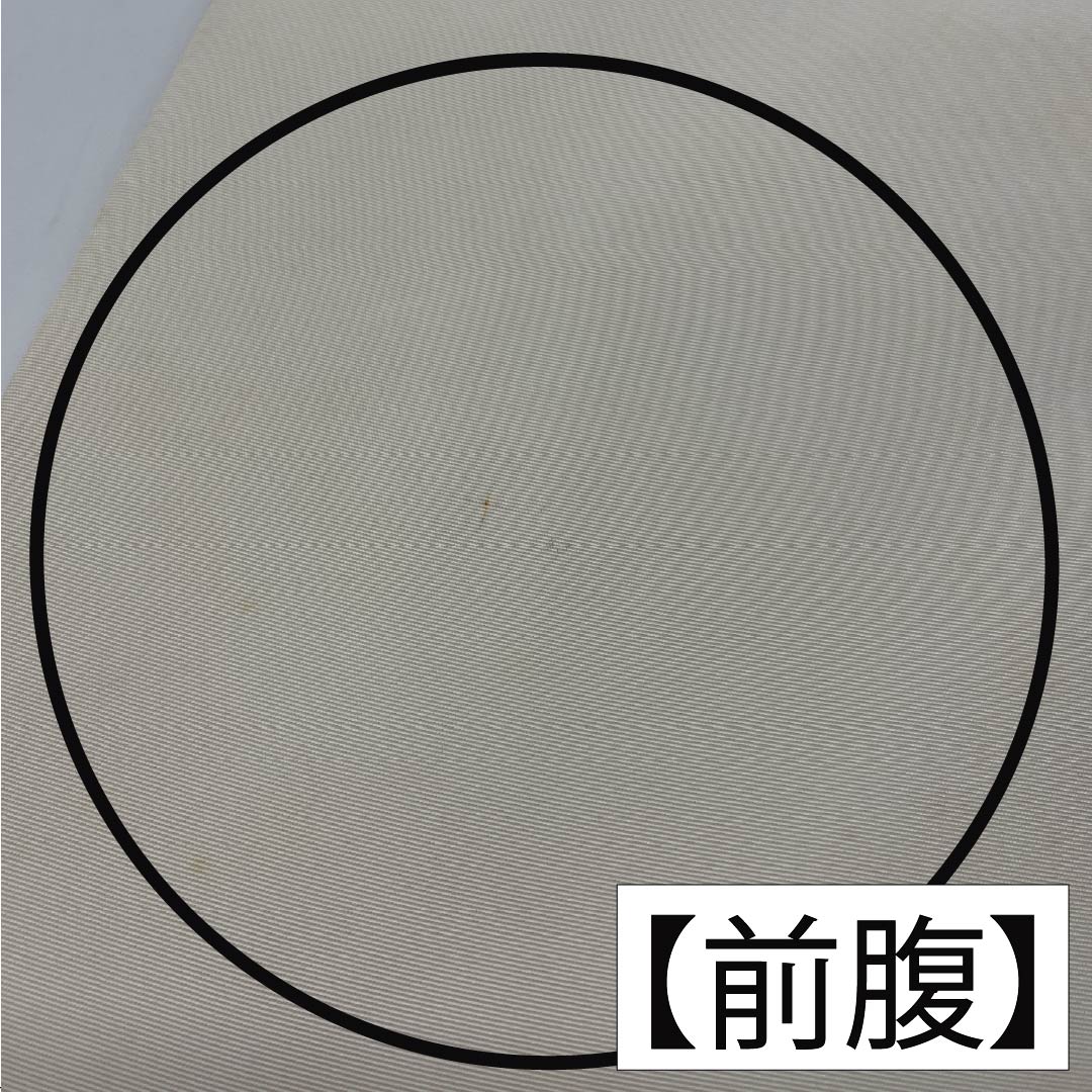 名古屋帯 生成り色(きなりいろ) 染め帯 作家物 あじさい 帯丈345cm 正絹 Aランク ポイント柄 カジュアル クリーム系 1124007003315 名古屋仕立て