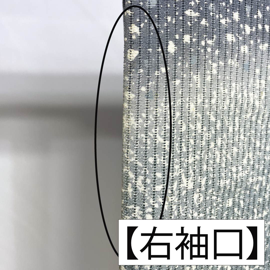 夏物 正絹 訪問着 Aランク 身丈161.5cm 裄丈66cm 浅葱鼠色(あさぎねずいろ) 竪絽 江戸小紋 タタキ染 絽 青系 1132005043417