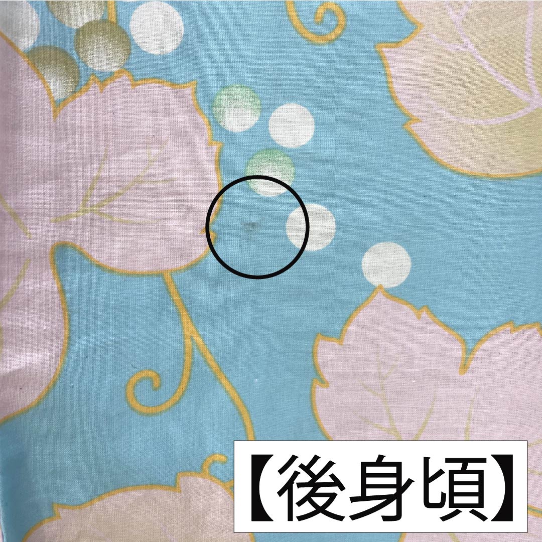 浴衣 木綿 身丈166cm 裄丈64cm Aランク 単衣 水色系 水色(みずいろ) 蒲萄 蔦 1118006503524