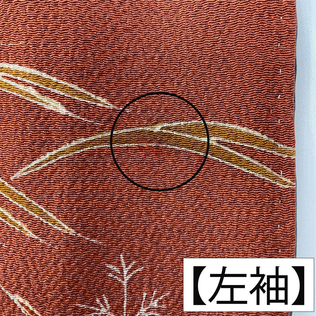 訪問着 正絹 袷 身丈165.5cm 裄丈65cm 弁柄色(べんがらいろ) 京友禅 茶屋辻風景模様 ちりめん地 Aランク 朱系 1112005923516