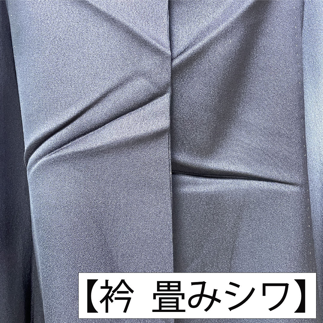 訪問着 正絹 袷 身丈159cm 裄丈65cm 濃紺色(のうこんいろ) 蝶 薔薇 Aランク 紺系 1112005883318