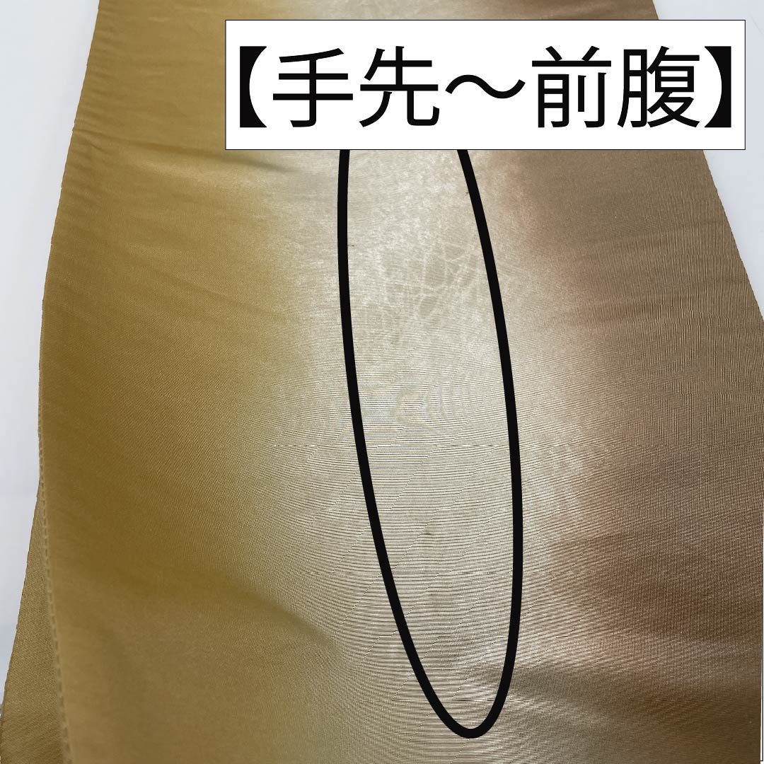 袋帯 正絹 枯野色(かれのいろ) 山菜 お茶席 帯丈438cm Sランク ポイント柄 カジュアル グラデーション系 1123012822399