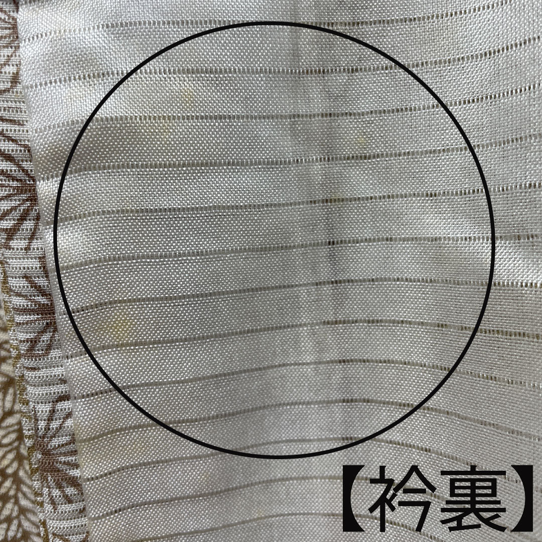 Summer pure silk komon length 161.5cm sleeve length 61.5cm milky white chrysanthemum hemp leaf bamboo silk A rank cream 1132001333415