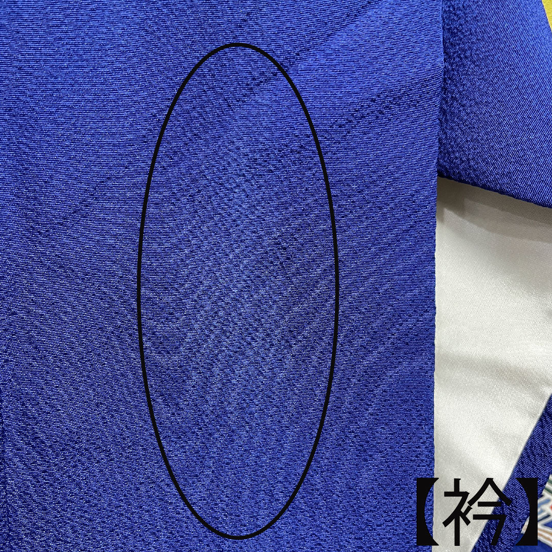 振袖 身丈167.5cm 裄丈68cm 袷 瑠璃色 京紅型 吉祥文様 正絹 Aランク 紺系 1113001773518
