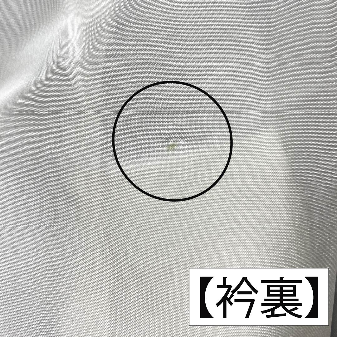 訪問着 正絹 Sランク 袷 身丈161cm 裄丈64cm 紬地 草花 しつけ糸付き グラデーション系 1112007012499