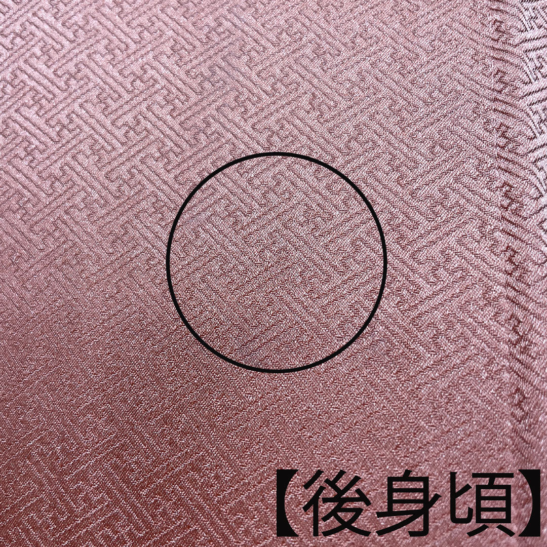 Homongi, pure silk, lined, length 161cm, sleeve length 63cm, coral color, Kyo-Yuzen, chrysanthemum, pine, A rank, orange, 1112002913426