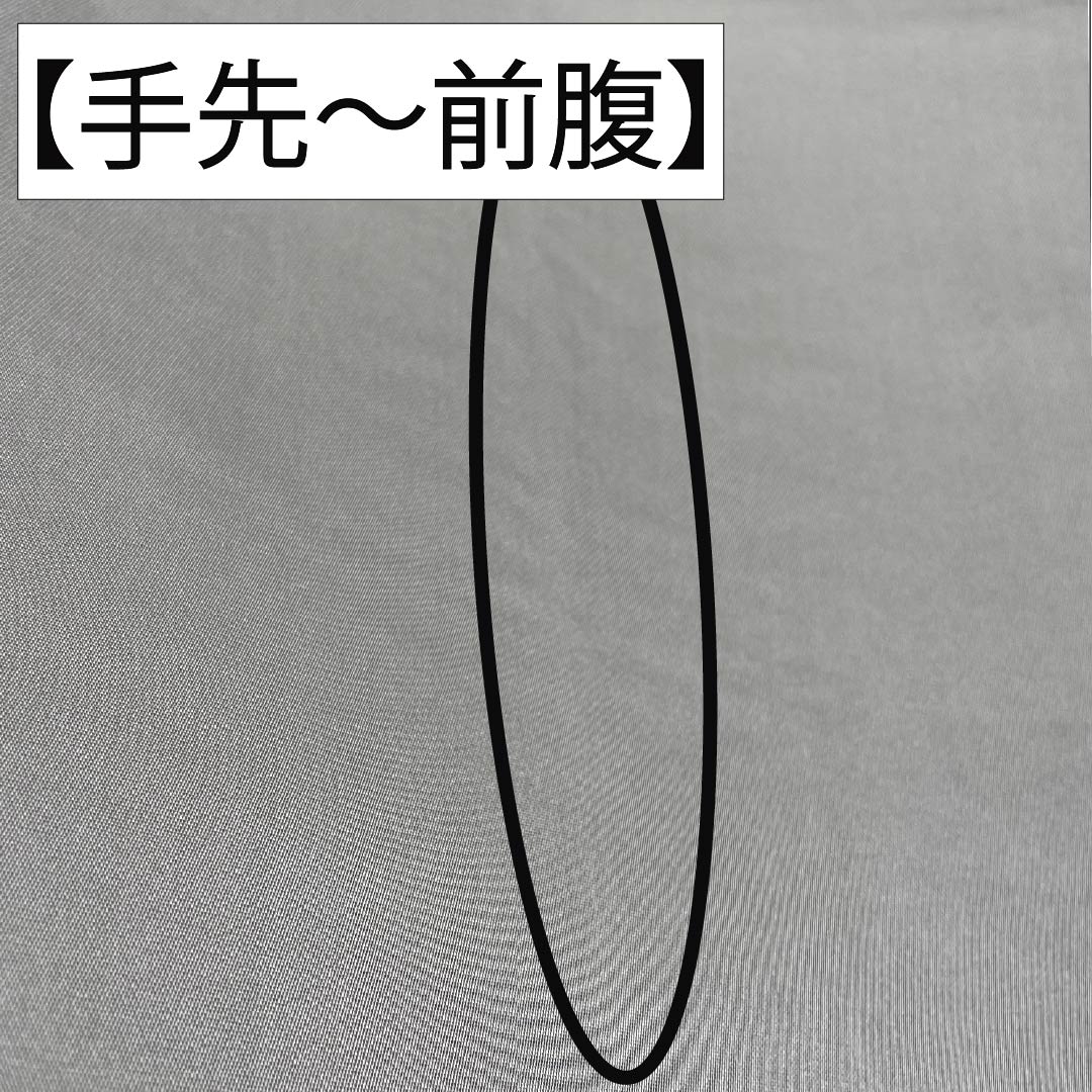 袋帯 正絹 消炭鼠色(けしずみねずみいろ) 白綾苑大庭 笛 振袖用 七宝 帯丈436cm Sランク 六通 フォーマル グレー系 1123014372322