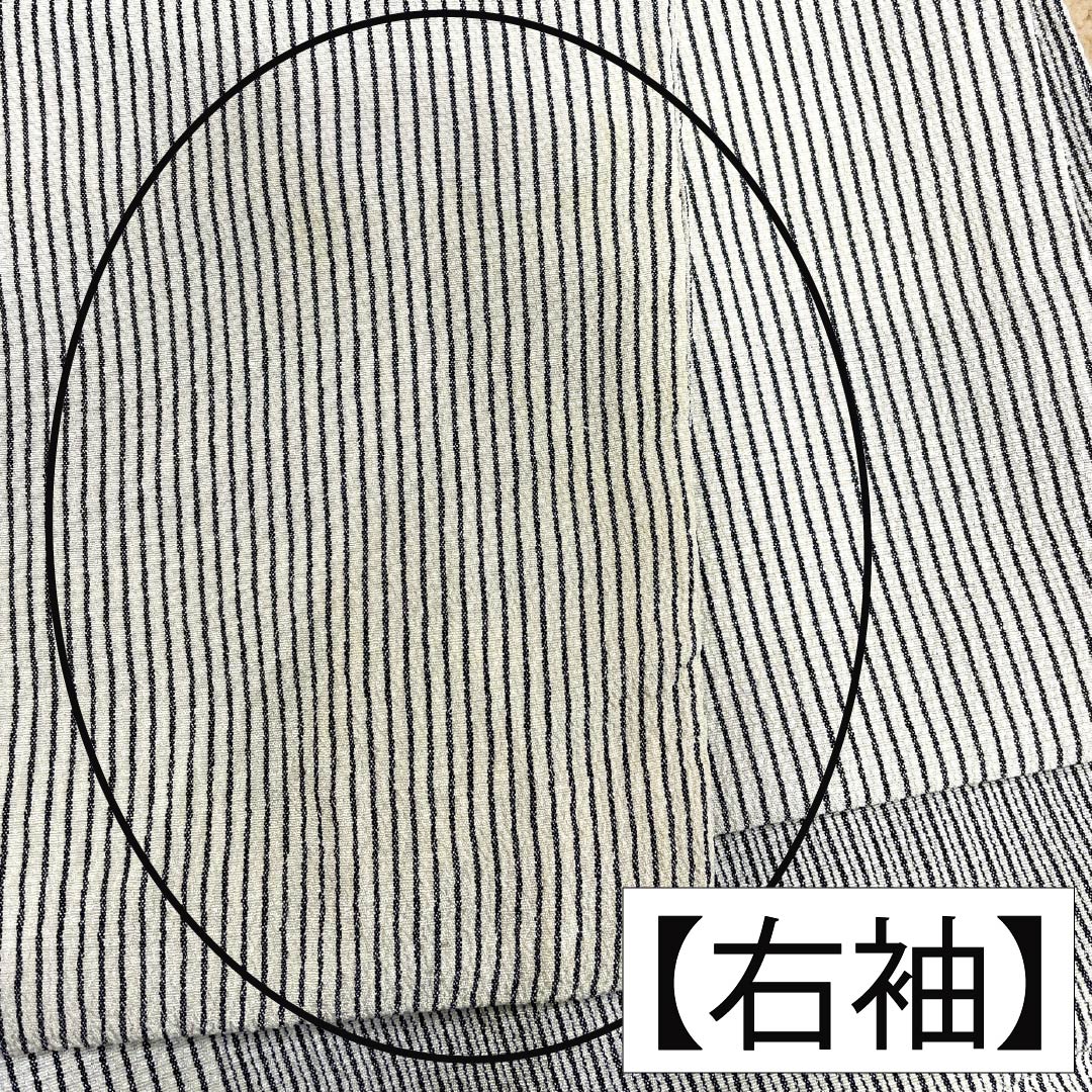 紬 正絹 Aランク 身丈154cm 裄丈62cm 乳白色(にゅうはくしょく) 塩沢紬 縞 袷 白系 1116004573211