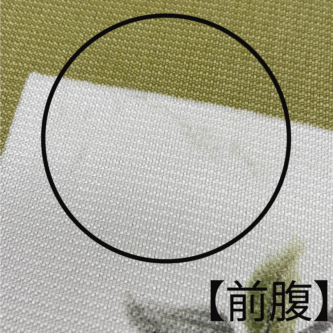 袋帯 梨子色(なしいろ) とんぼ 桔梗 染め帯 帯丈456cm 正絹 Aランク ポイント柄 カジュアル 緑系 1123008863419