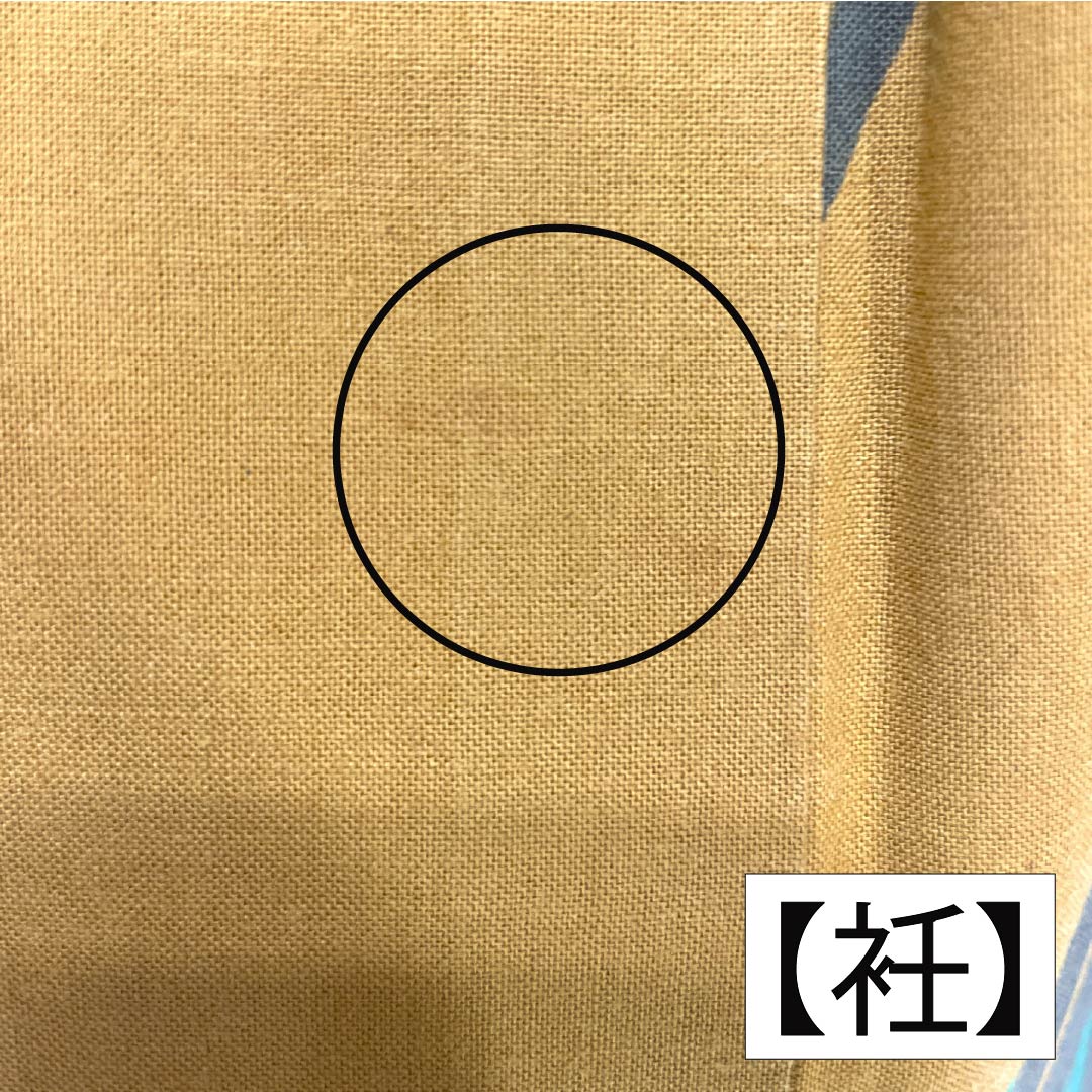 浴衣 木綿 身丈153.5cm 裄丈67cm Aランク 単衣 黄系 木蘭色(もくらんじき) 菖蒲 1118005803223