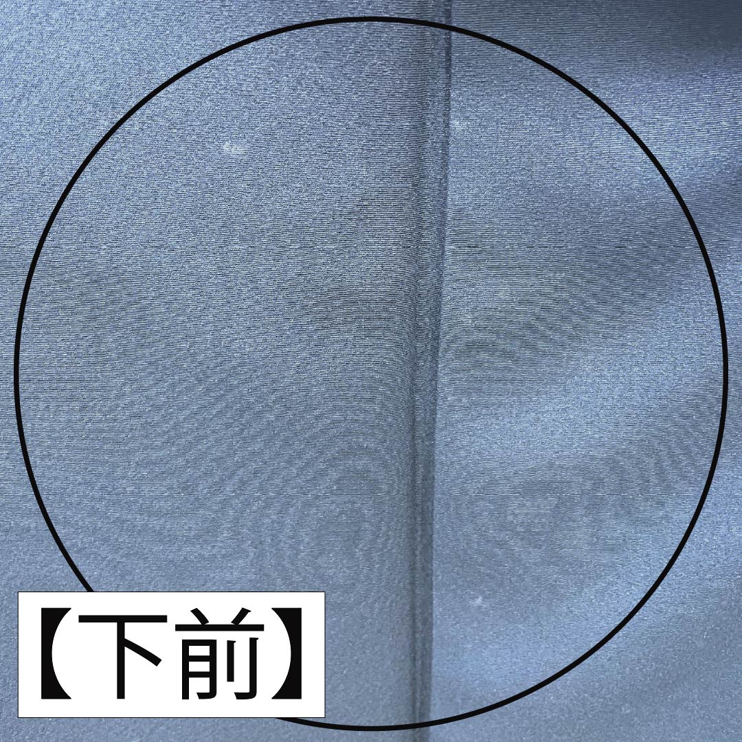 振袖 正絹 Aランク 身丈161cm 裄丈62.5cm 袷 印度藍色(いんどあいいろ) 京友禅 牡丹 紅葉 紺系 1113002833418