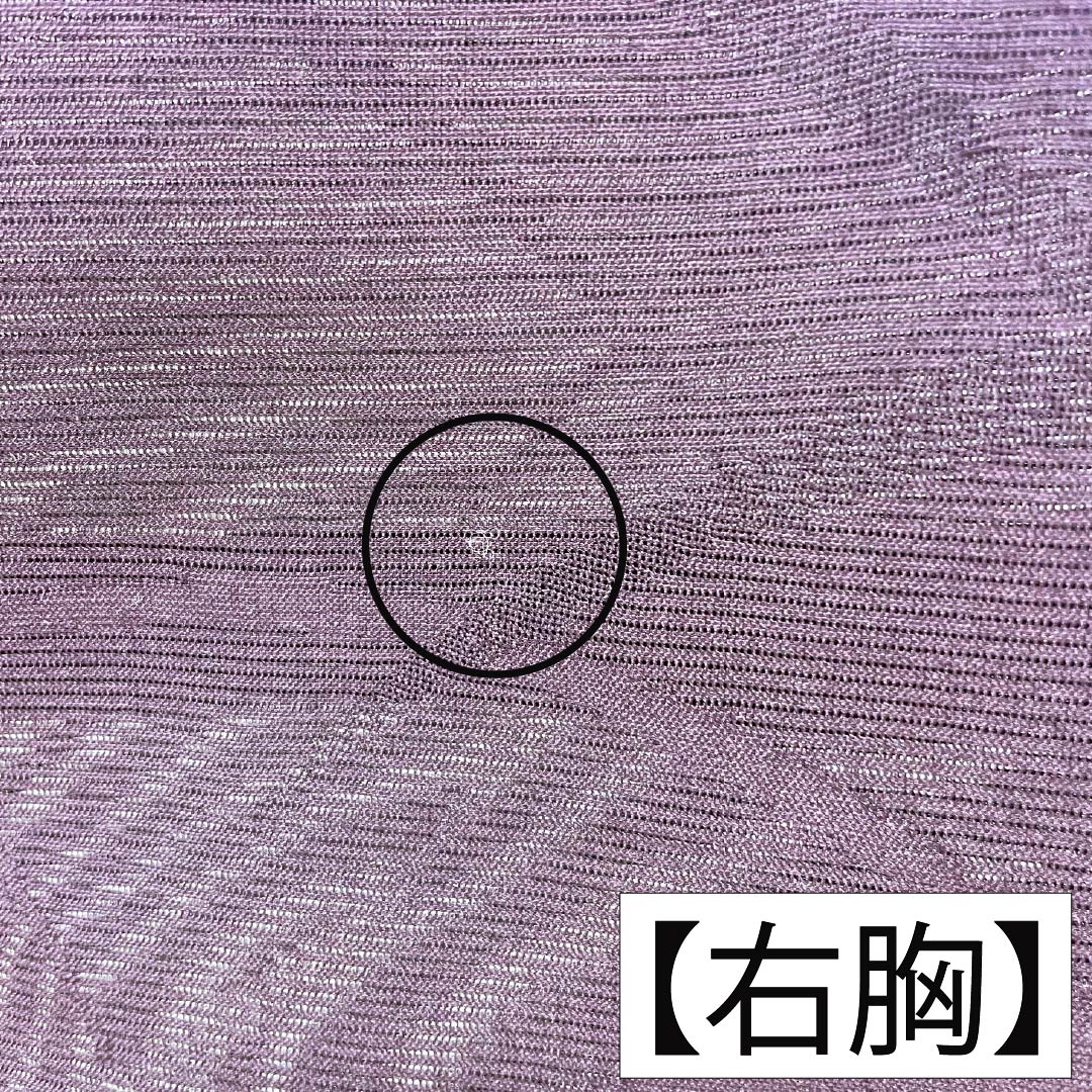 夏物 ポリエステル 色無地 Aランク 身丈158.5cm 裄丈65.5cm 紫烏色(しうしょく) 露芝 絽 紫系 1132004793320