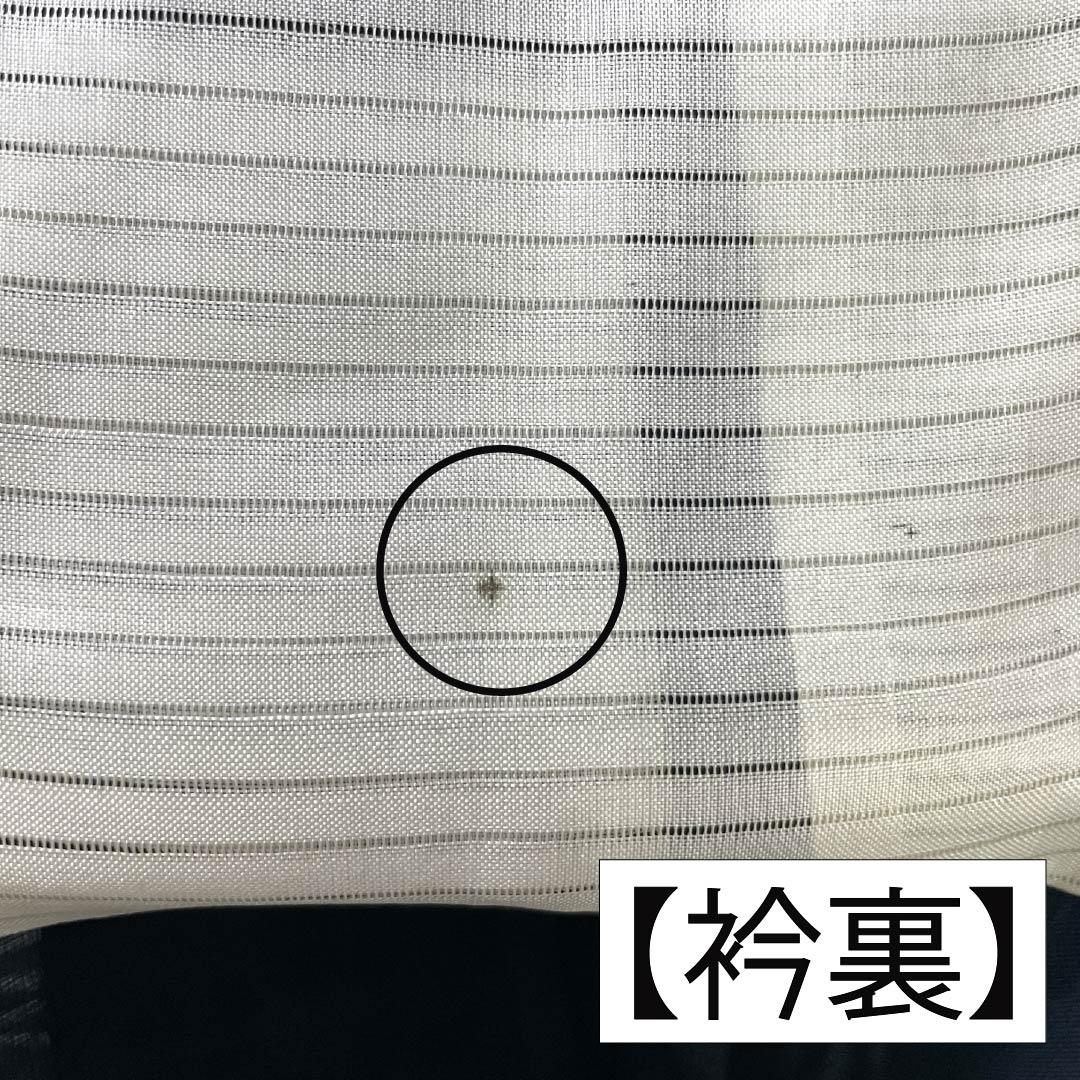 夏物 正絹 お召 Sランク 身丈157cm 裄丈64cm 濃紺色(のうこんいろ) 紫陽花 紗 紺系 1132004352318