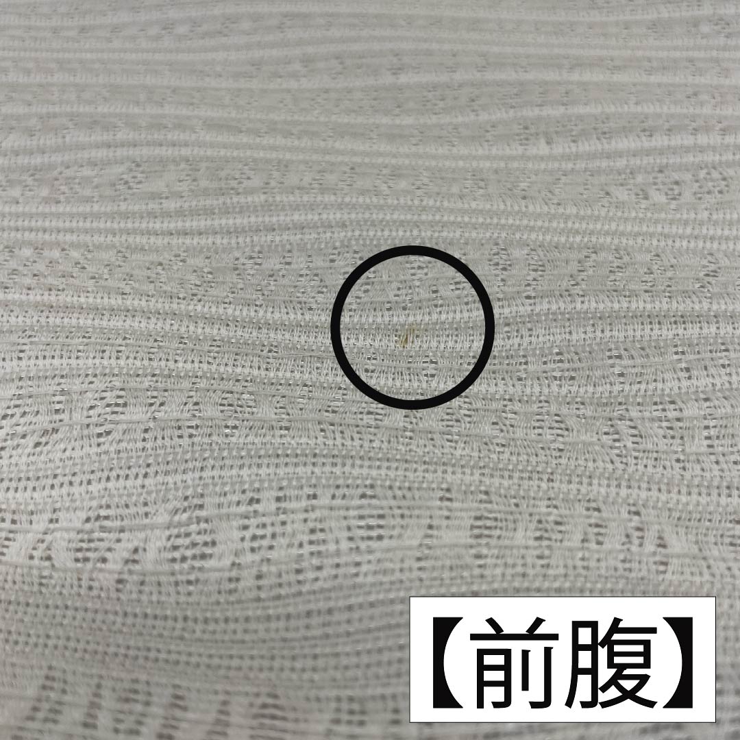 袋帯 正絹 乳白色色(にゅうはくしょくいろ) 蔦 葡萄 帯丈446cm Aランク ポイント柄 カジュアル 白系 1123012383311