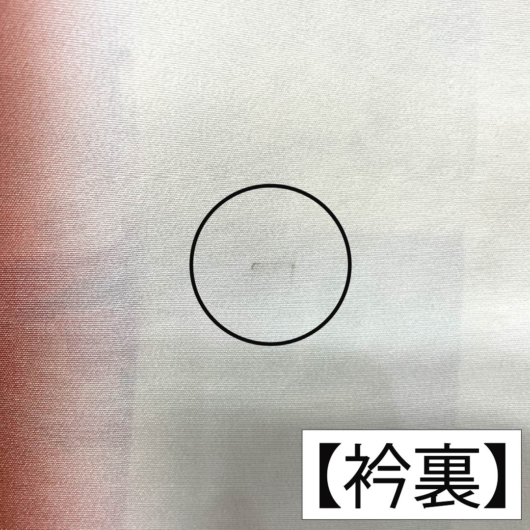 訪問着 正絹 Sランク 袷 身丈156.5cm 裄丈63.5cm 練色(ねりいろ) 京友禅 横段 古典柄 クリーム系 1112007712315