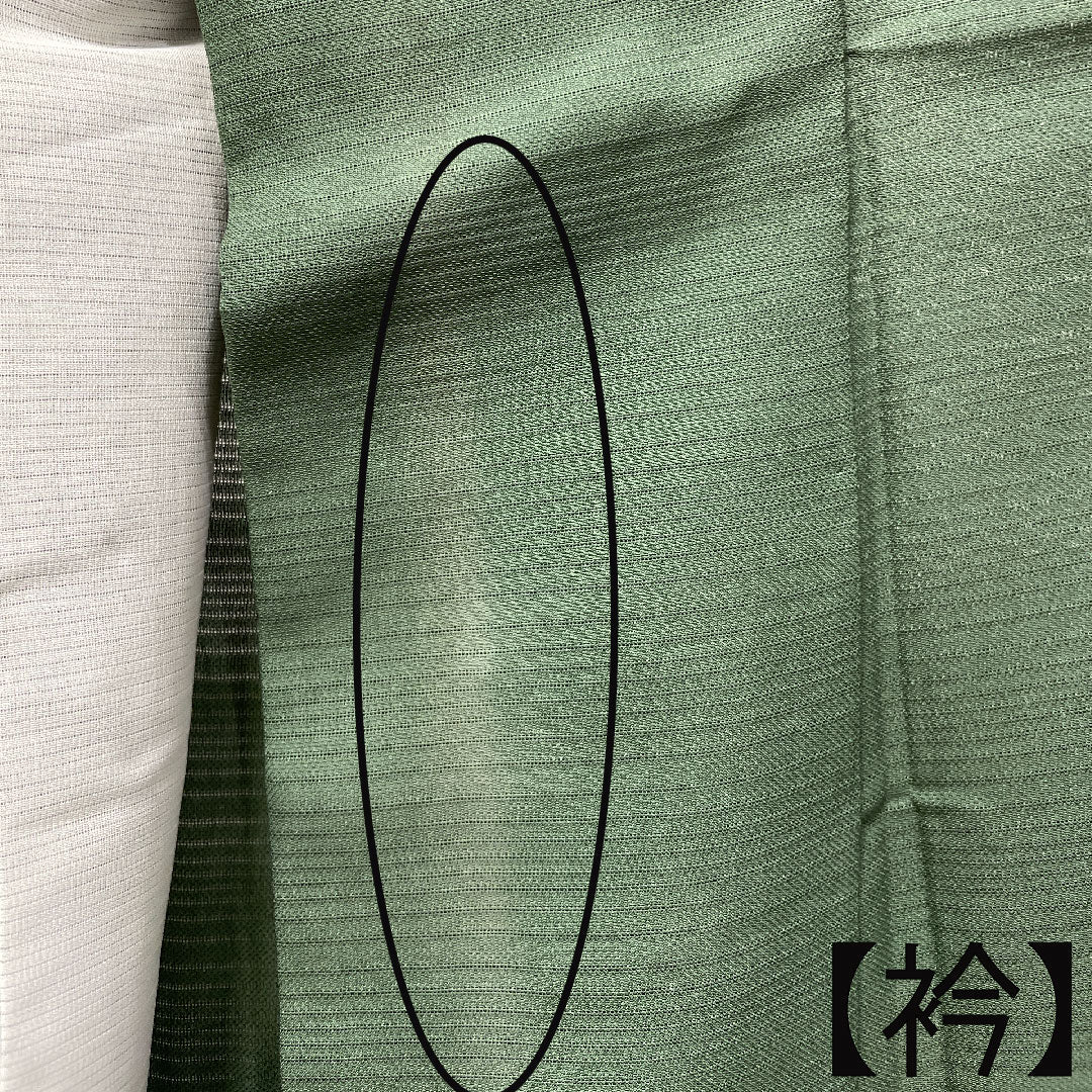 夏物 正絹 色無地 身丈162.5cm 裄丈66cm 笹色(ささいろ) 素無地 絽 Aランク 緑系 1132001073419