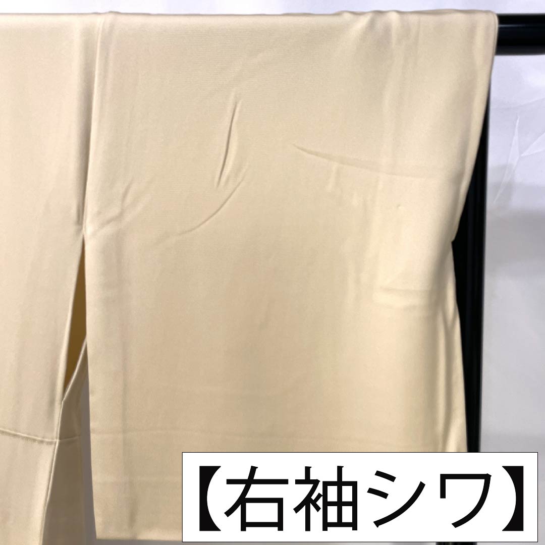 色留袖 正絹 Sランク 身丈167cm 裄丈68cm 袷 東京白茶色(とうきょうしらちゃいろ) 京友禅 松 屏風 一つ紋 丸に三つ柏 パールトーン加工 一つ紋 クリーム系 1111002182515