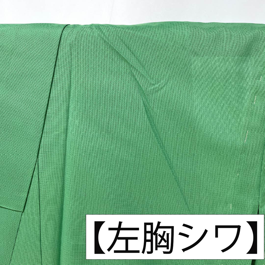 夏物 ポリエステル 色無地 Sランク 身丈159.5cm 裄丈66.5cm 琅玕色(ろうかんいろ) 洗える着物 素無地 絽 緑系 1132004212319