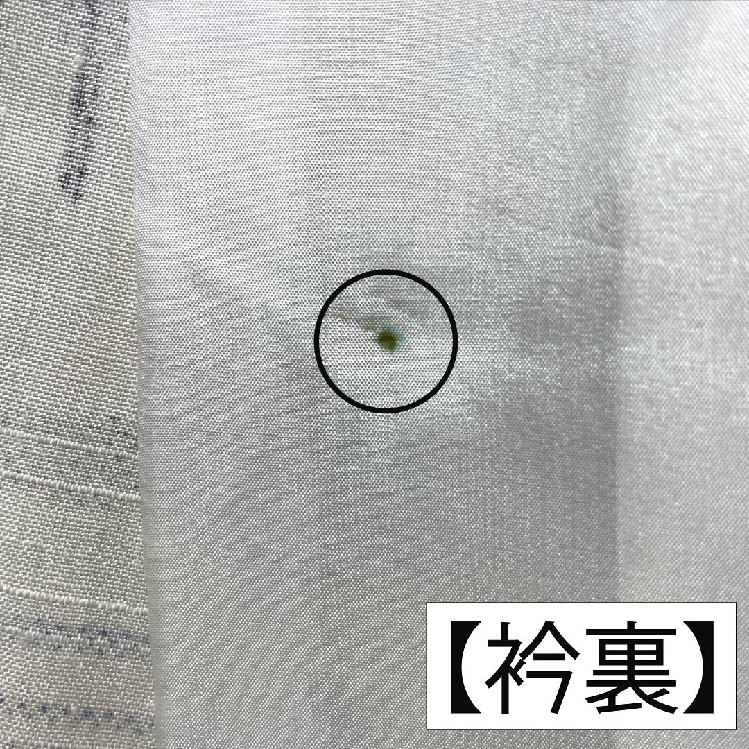 小紋 正絹 身丈157.5cm 裄丈64cm 単衣 生成り色(きなりいろ) 茶屋辻 Sランク 白系 1115005292311