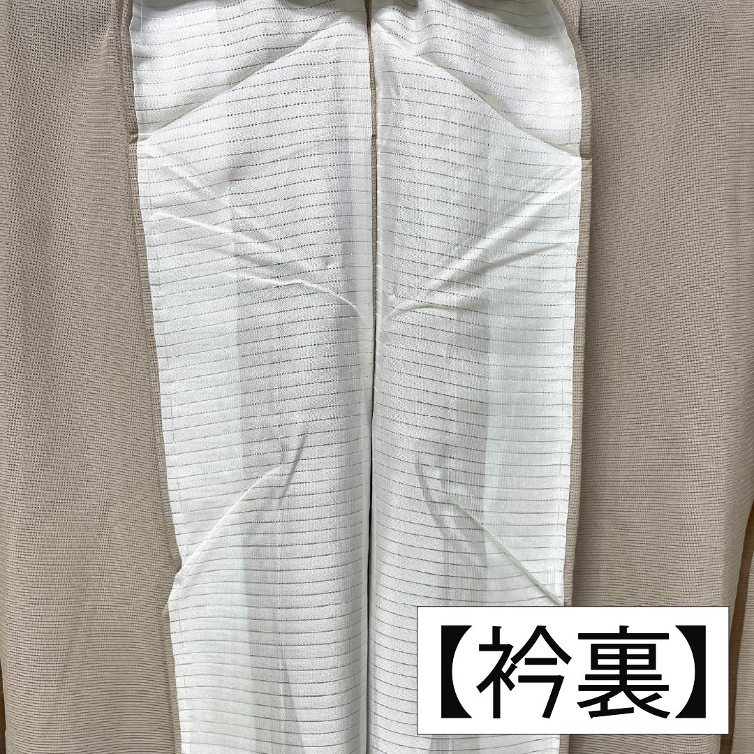 夏物 正絹 訪問着 身丈157cm 裄丈63cm 薄香色(うすこういろ) 草花模様 京友禅 絽 Sランク ベージュ系 1132002752325